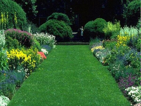 Garden Lawns (2)