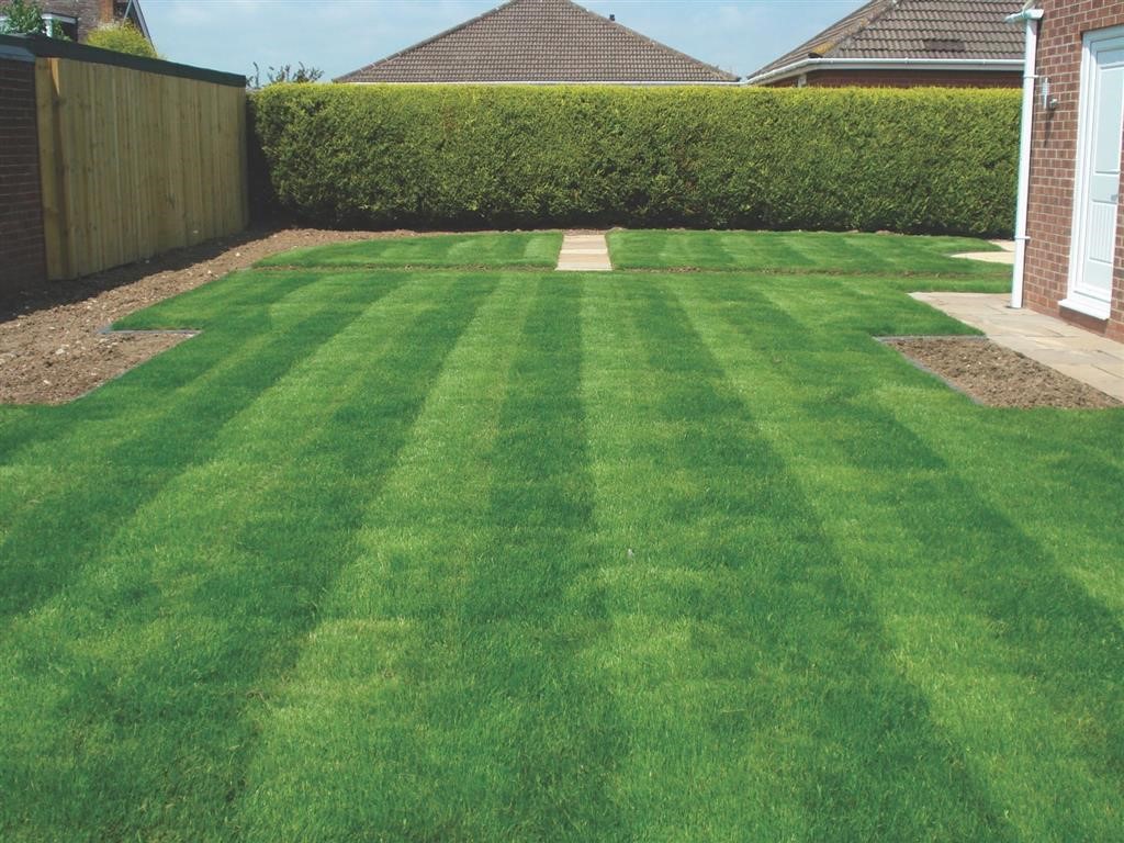 Garden Lawns (4)